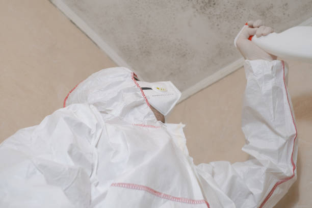 Best Mold Testing  in Tremont, IL