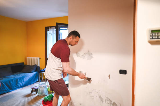 Best Local Mold Removal Service  in Tremont, IL